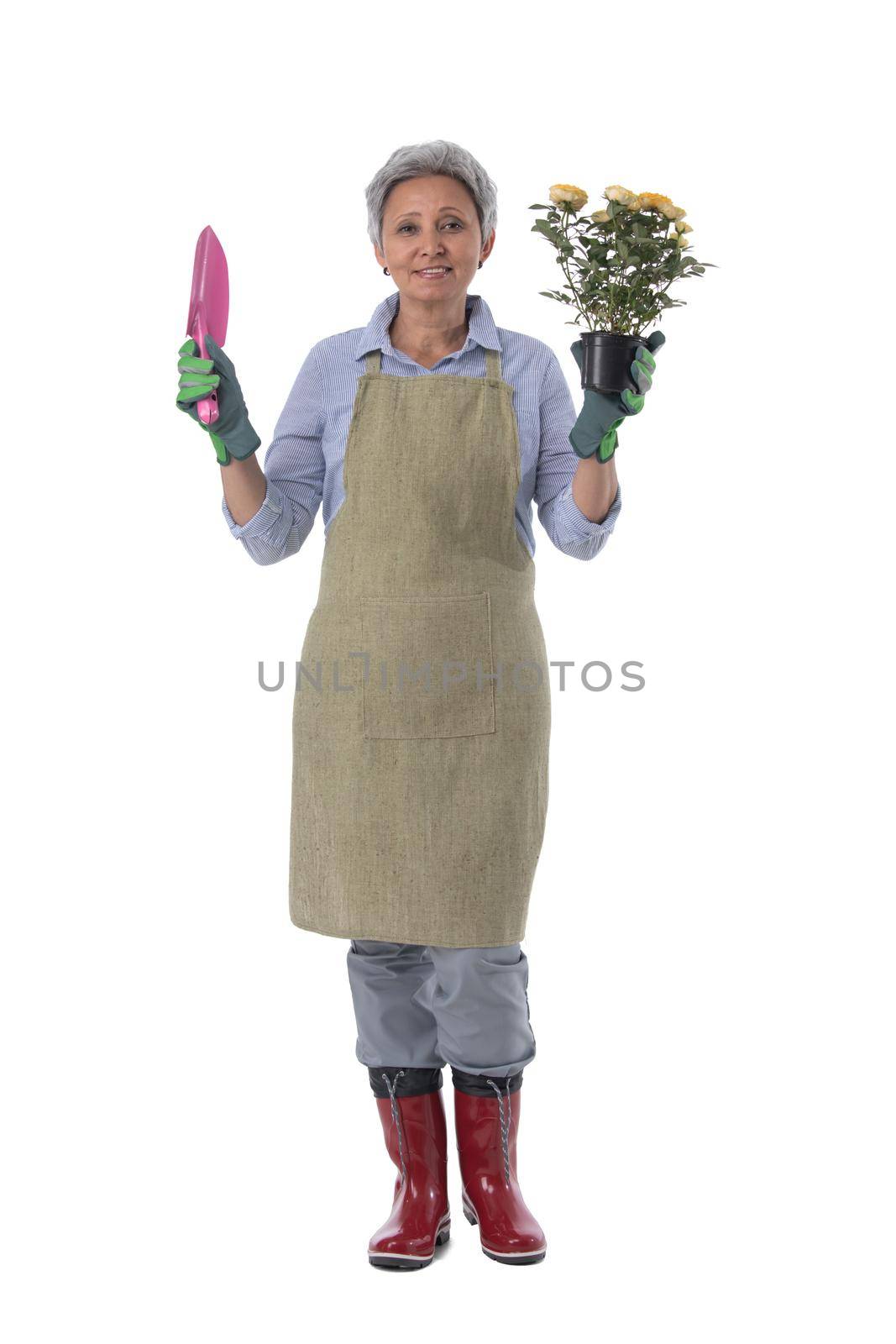 Gardening. Mature woman gardener worker with flowers in pot and scoop isolated on white background, full length portrait