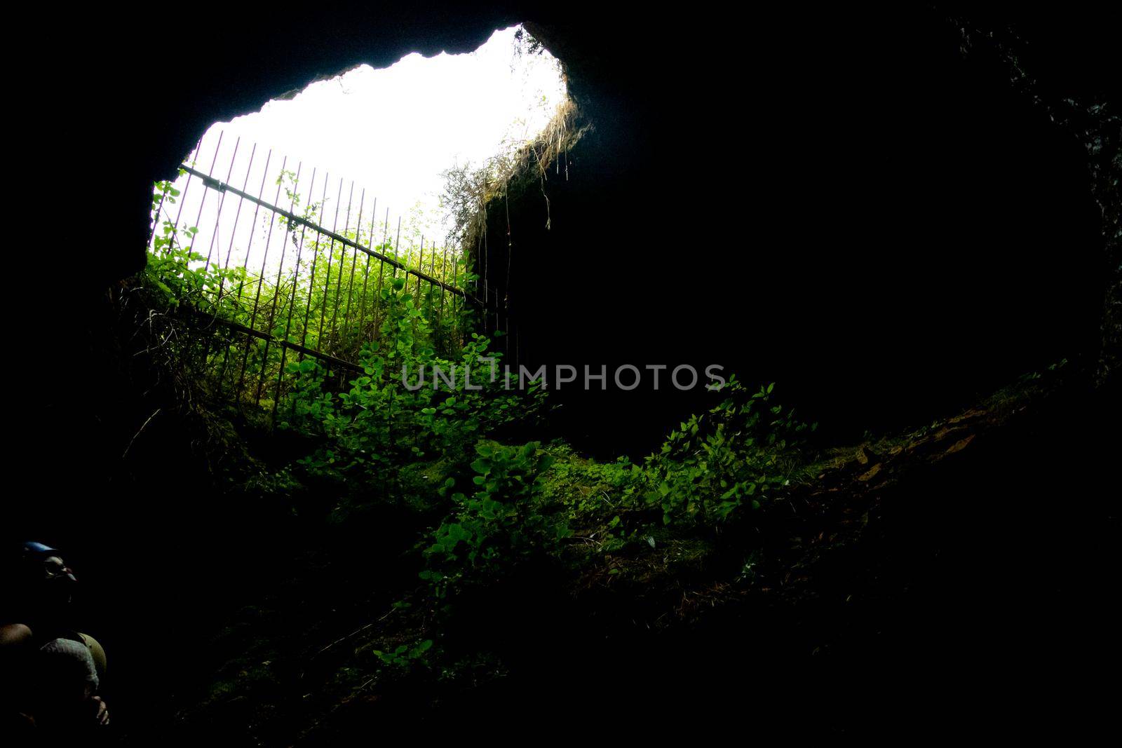 Wide shot of the exit of a cave covered in heavy vegetation and the bright sky through it