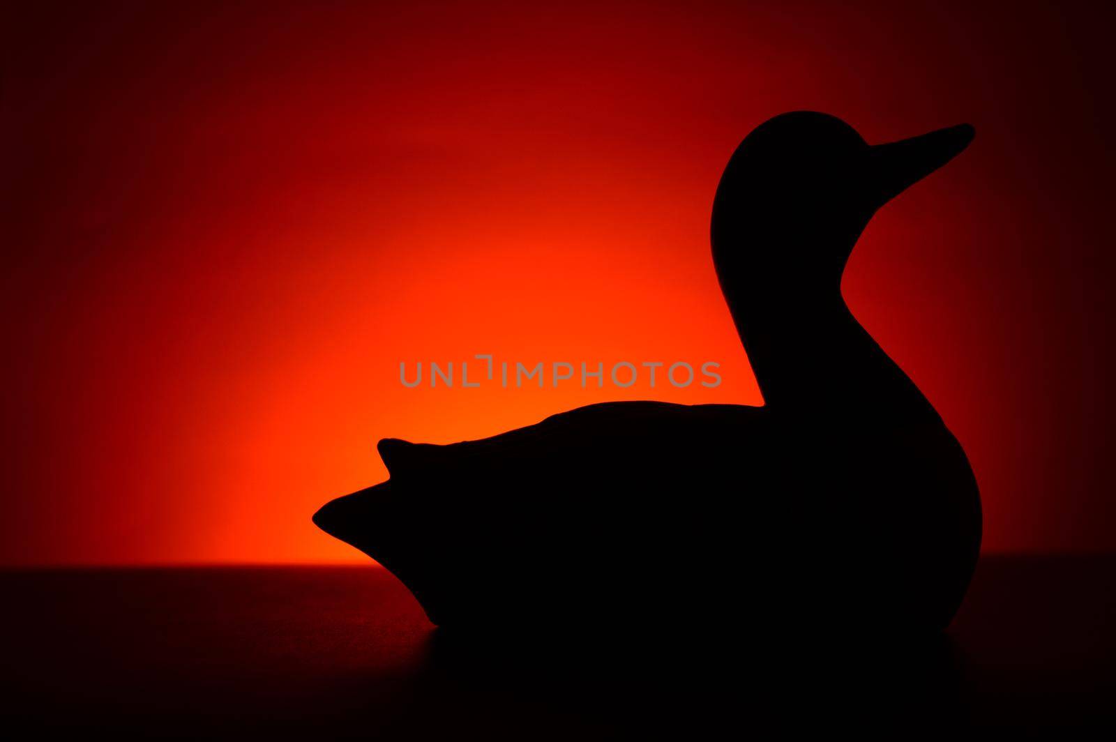 A silhouette of a common Loon during the morning sunrise with red and orange hues adding atmosperhic mood.