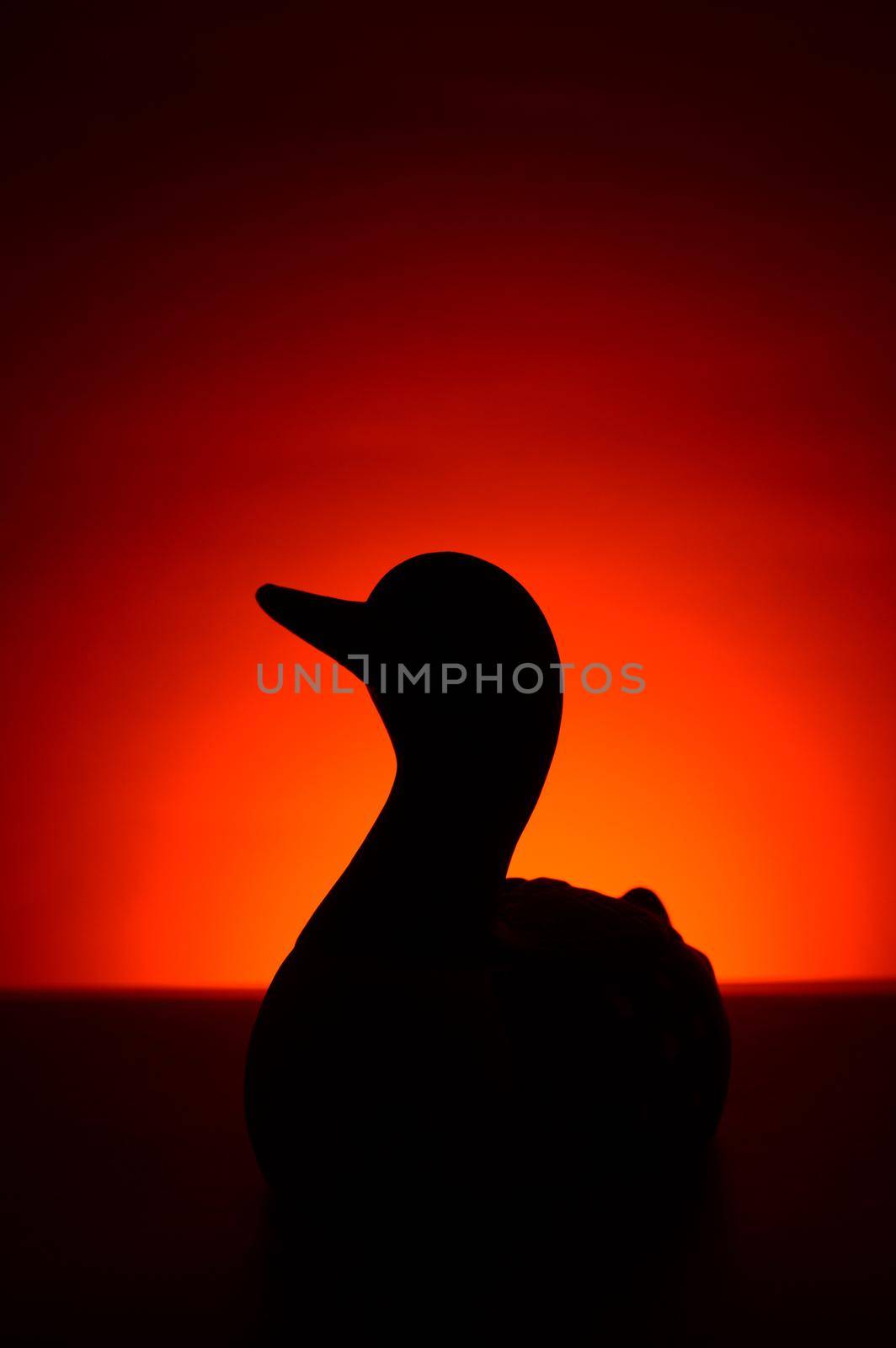 A silhouette of a common Loon during the morning sunrise with red and orange hues adding atmosperhic mood.