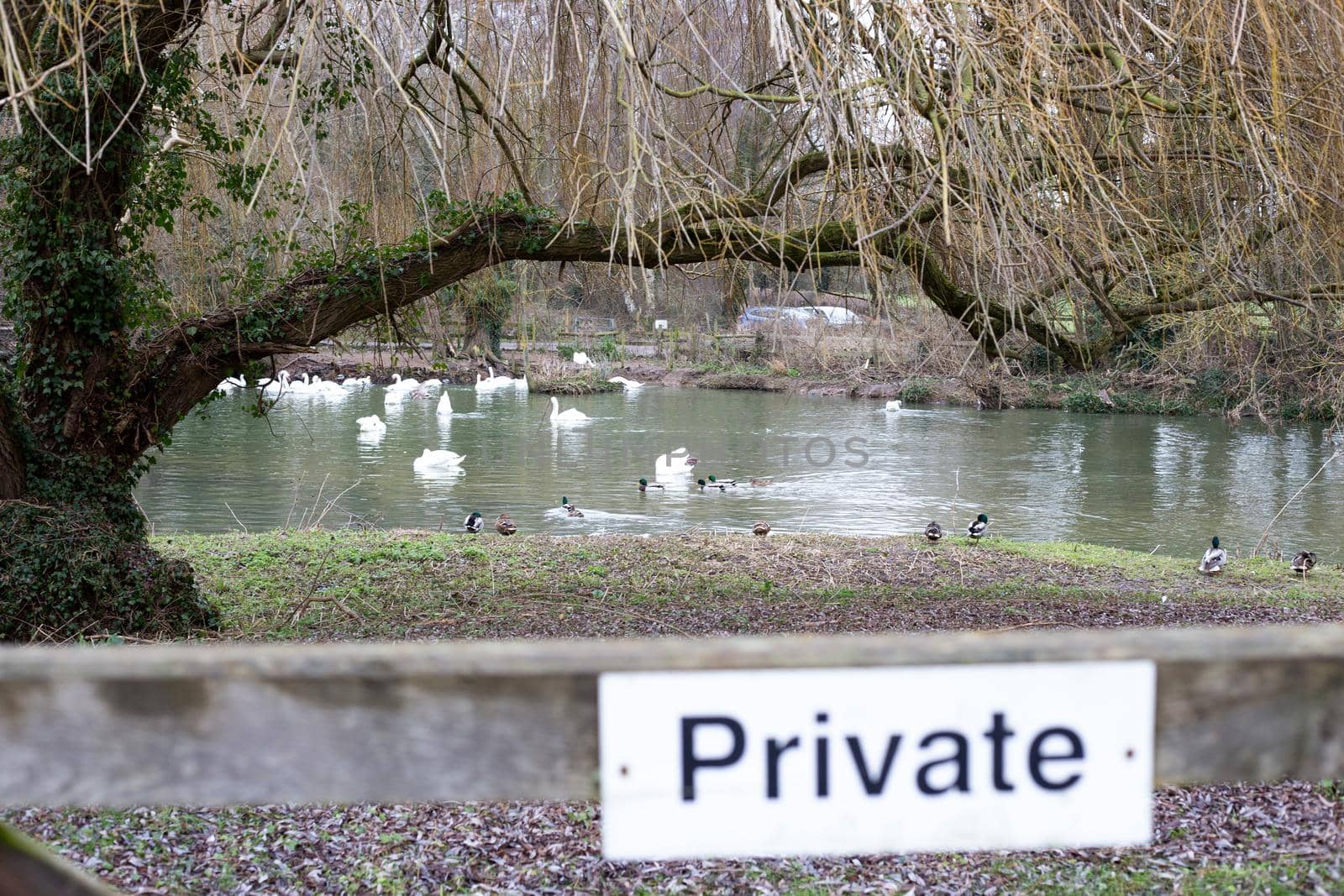 Private sign on farm wooden gate leading to spring swan lake. UK Suffolk