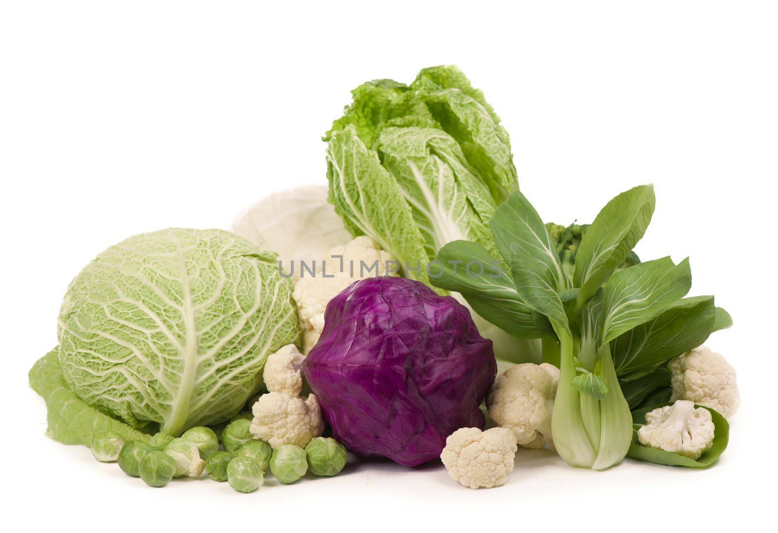 Mix of cabbages on white background: white cabbage, red cabbage, Savoy cabbage, Roman cabbage and Brussels sprouts. by aprilphoto