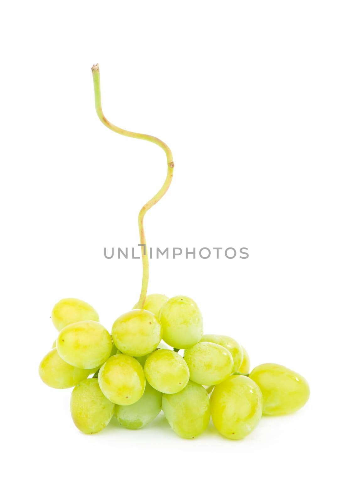 Green grape with leaves isolated on white. With clipping path. Full depth of field. by aprilphoto