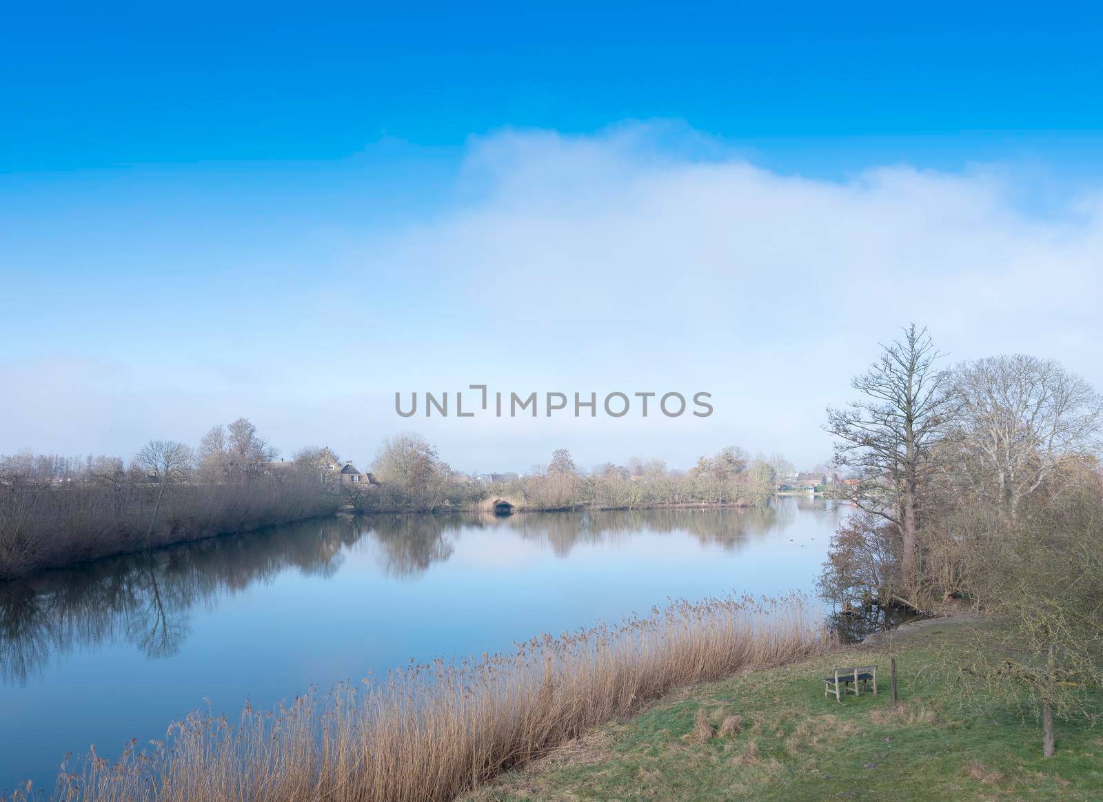 late winter landscape with water in the centre of the netherlands near leerdam under blue sky
