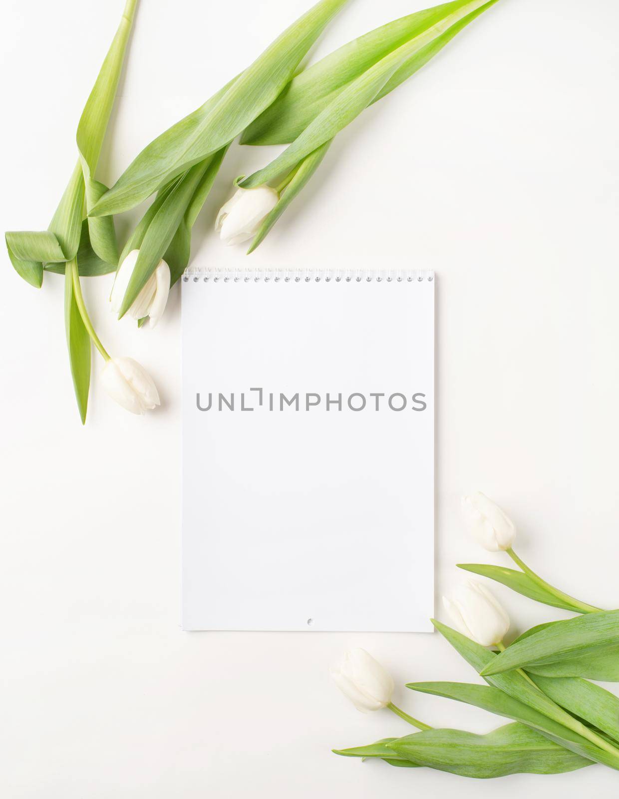 Top view of blank calendar with white tulips on white background. Mock up design