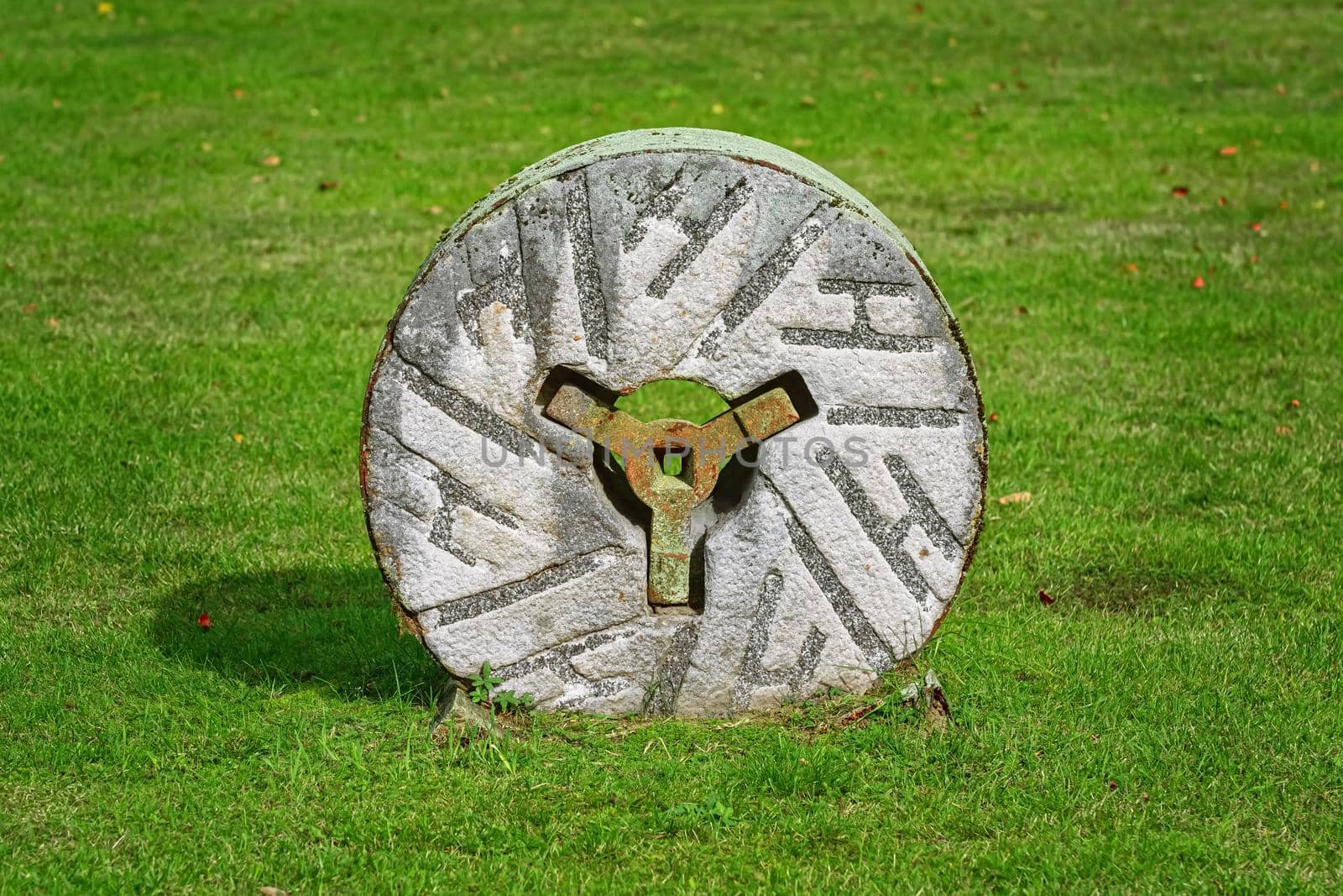 Old millstone on the green grass in countryside