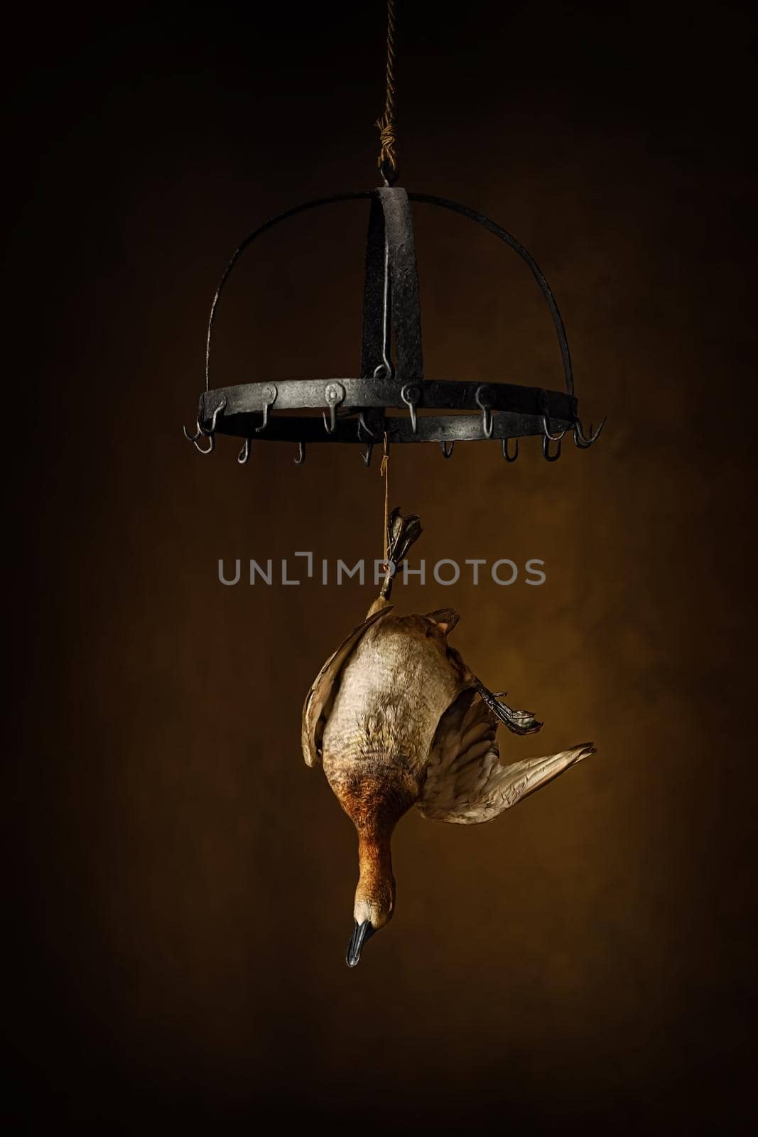 Duck hanging in the kitchen by SNR