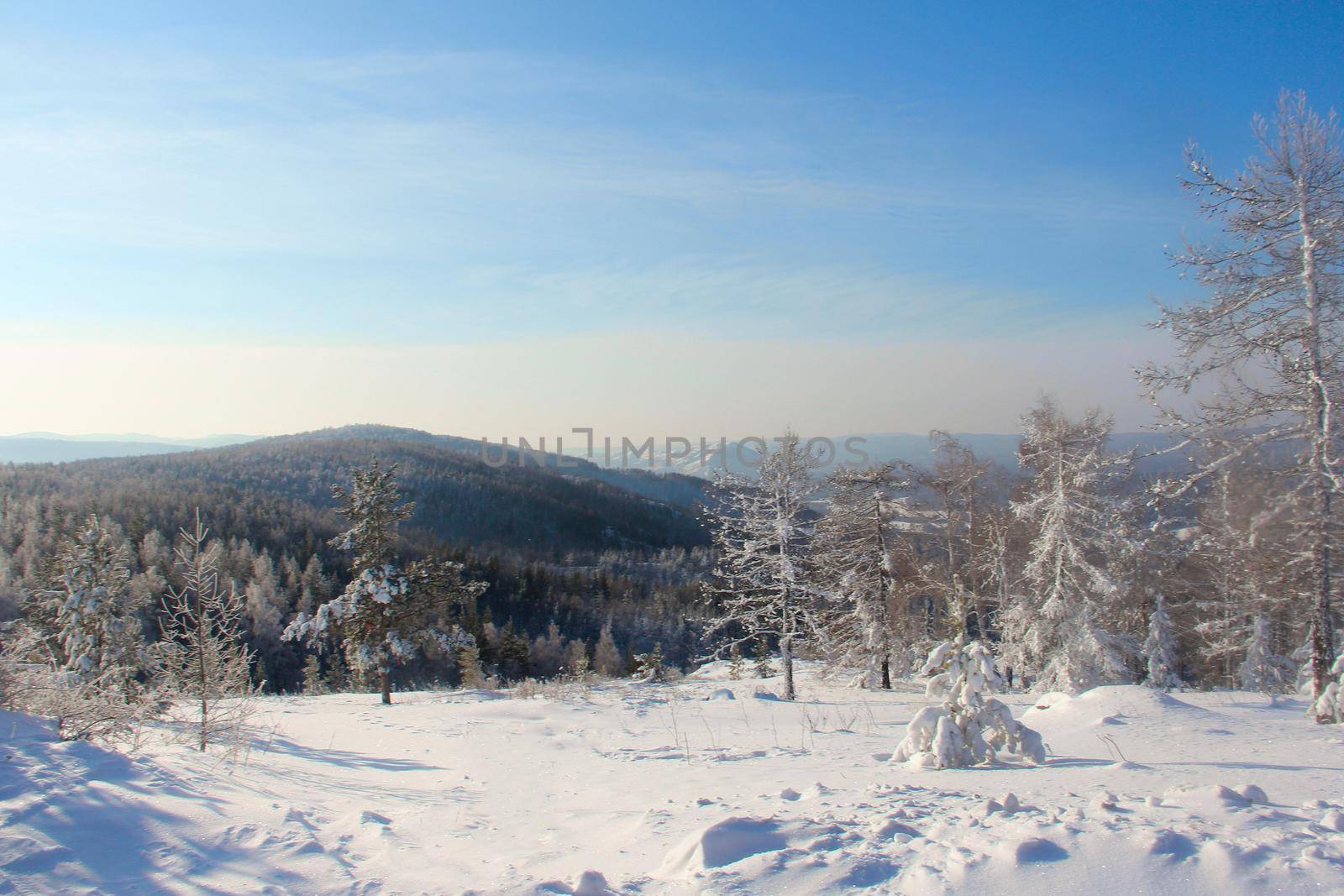 Winter snow mountain landscape with pine trees at ski resort Abzakovo region, Russia, sunny day