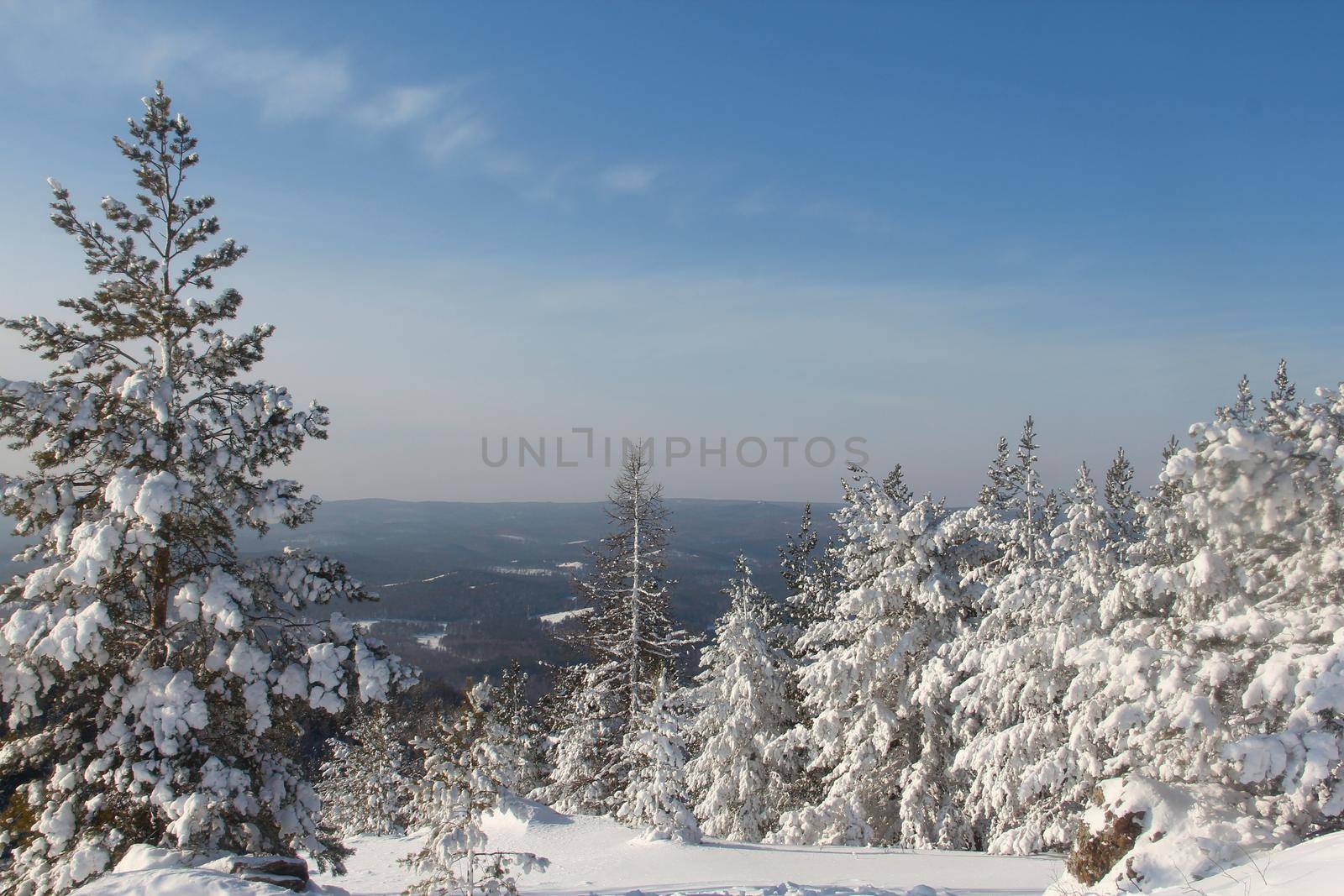 Winter snow mountain landscape with pine trees at ski resort Abzakovo region, Russia, sunny day