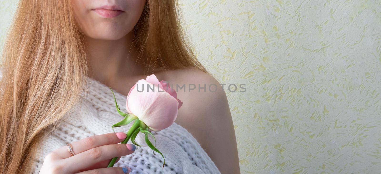 Hands of a young girl holding a pink rose. Space for your text.