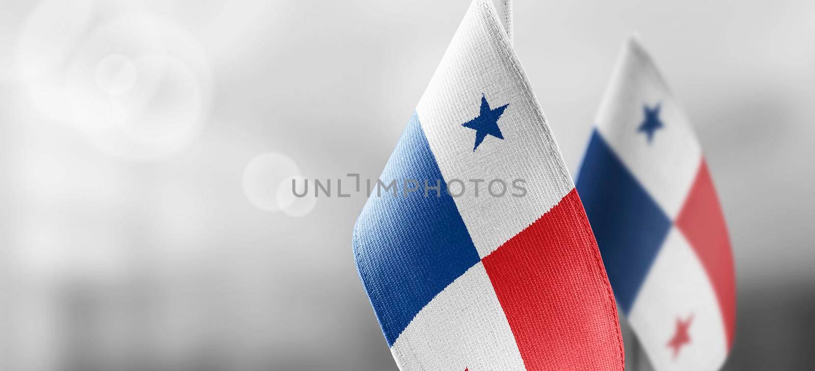 Small national flags of the Panama on a light blurry background.