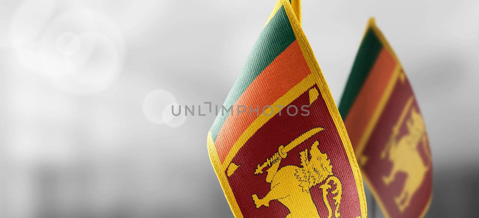 Small national flags of the Sri Lanka on a light blurry background.