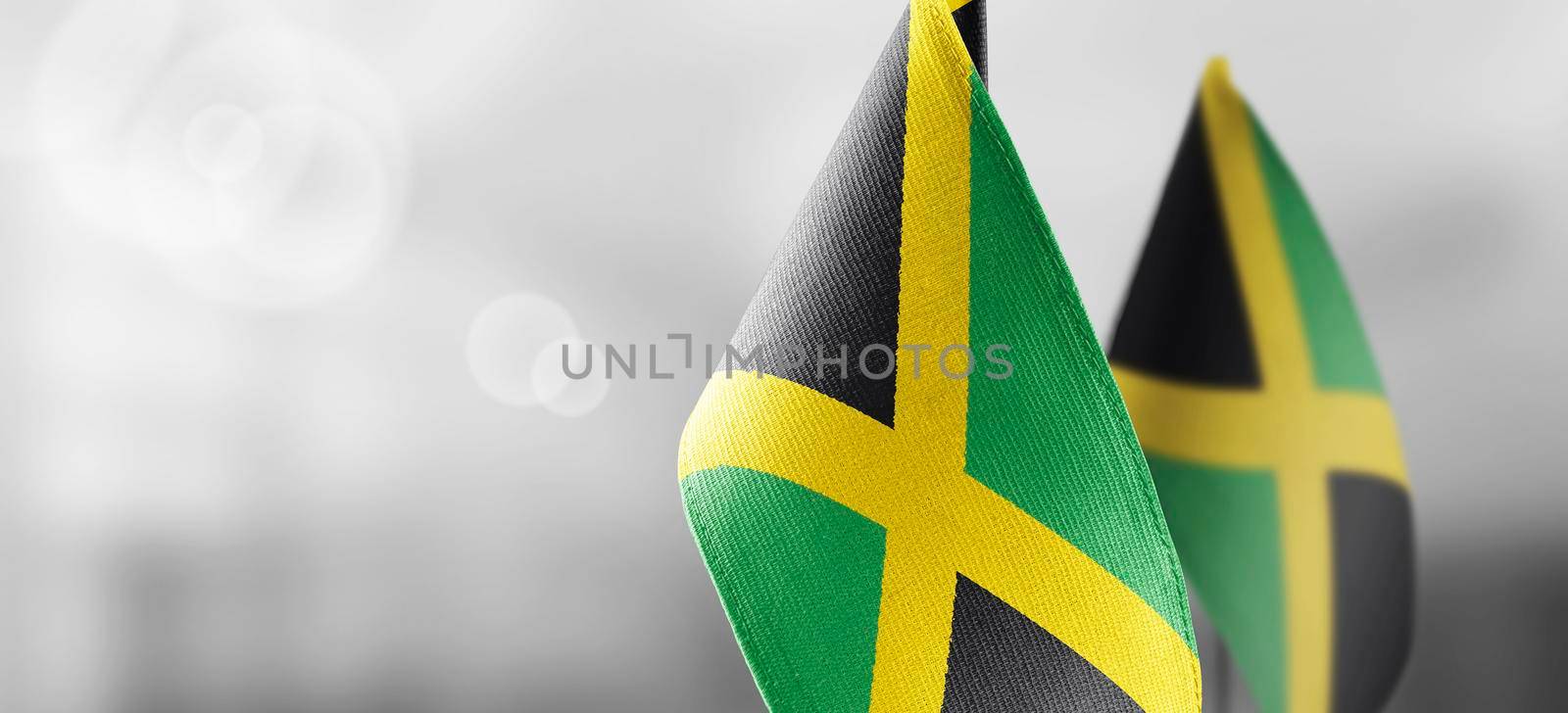 Small national flags of the Jamaica on a light blurry background.