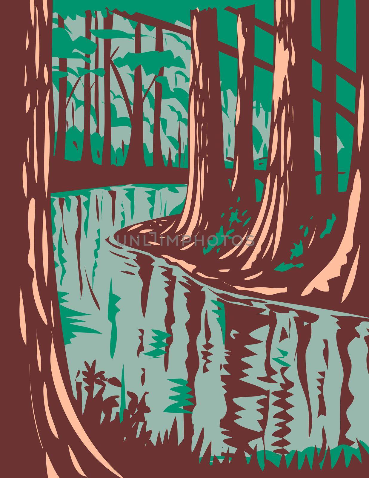 WPA poster art of Cedar Creek, a blackwater stream that runs through the Congaree National Park in central South Carolina, United States in works project administration or federal art project style.