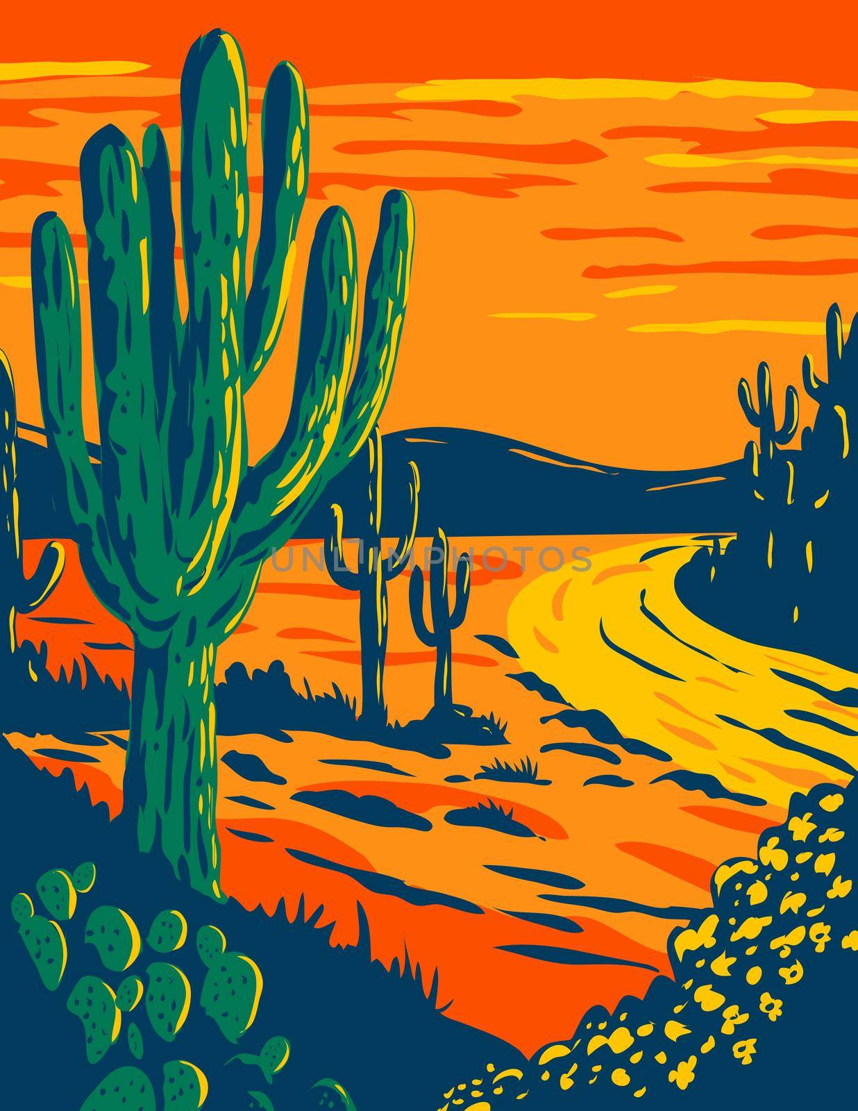 WPA poster art of the Saguaro, Carnegiea gigantea, a tree-like cactus genus at dusk in Saguaro National Park in Tucson, Arizona done in works project administration or federal art project style.