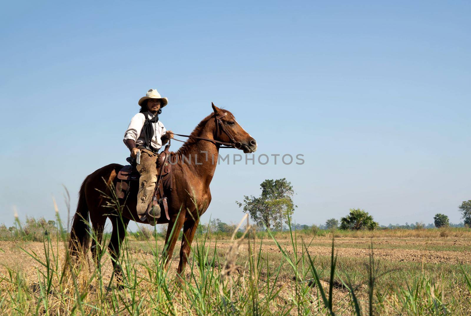 Rider as cowboy outfit costume with a horses and a gun held in the hand against smoke and sunset background