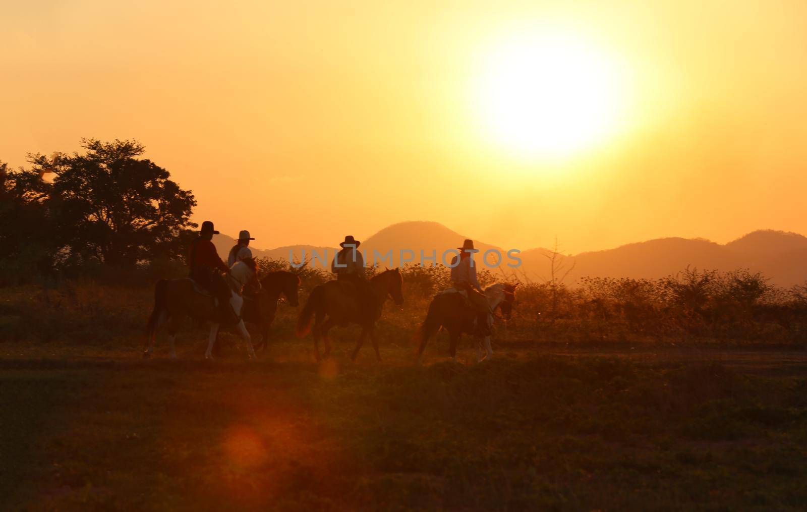 The silhouette of  rider as cowboy outfit costume with a horses and a gun held in the hand against smoke and sunset background