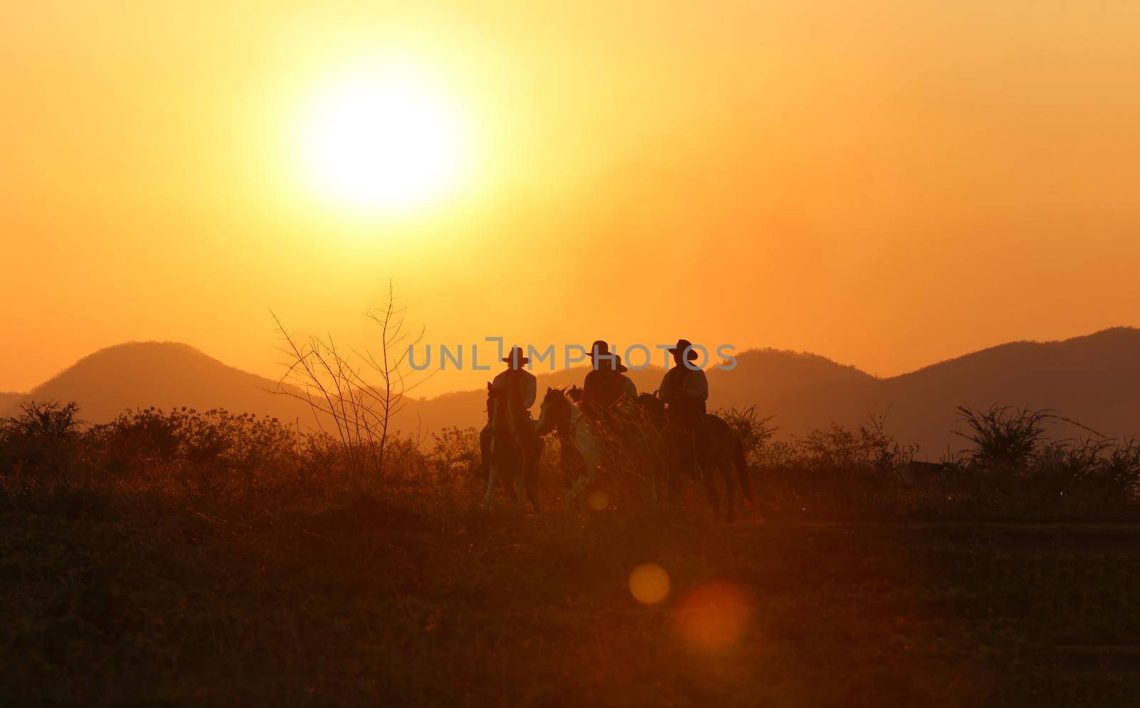 The silhouette of  rider as cowboy outfit costume with a horses and a gun held in the hand against smoke and sunset background