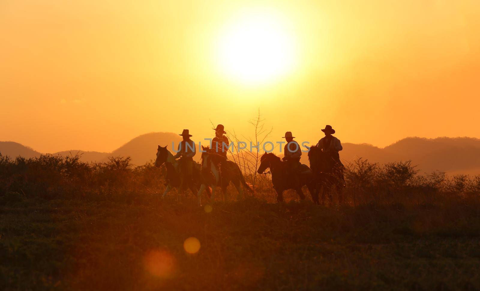 The silhouette of  rider as cowboy outfit costume with a horses and a gun held in the hand against smoke and sunset background