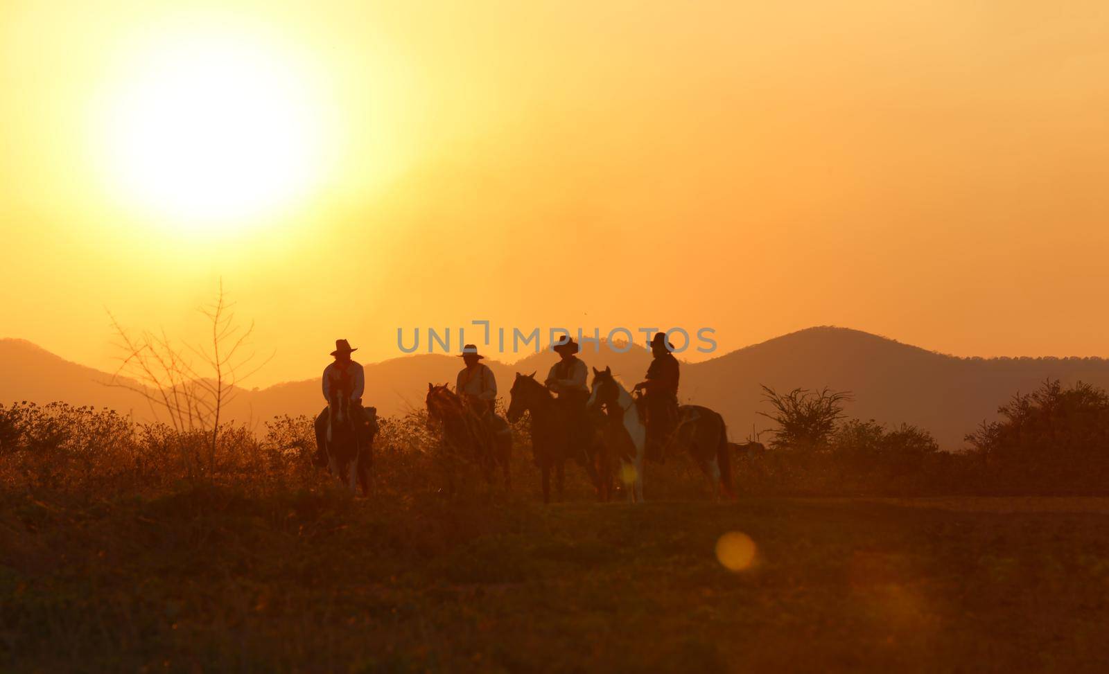 The silhouette of  rider as cowboy outfit costume with a horses and a gun held in the hand against smoke and sunset background