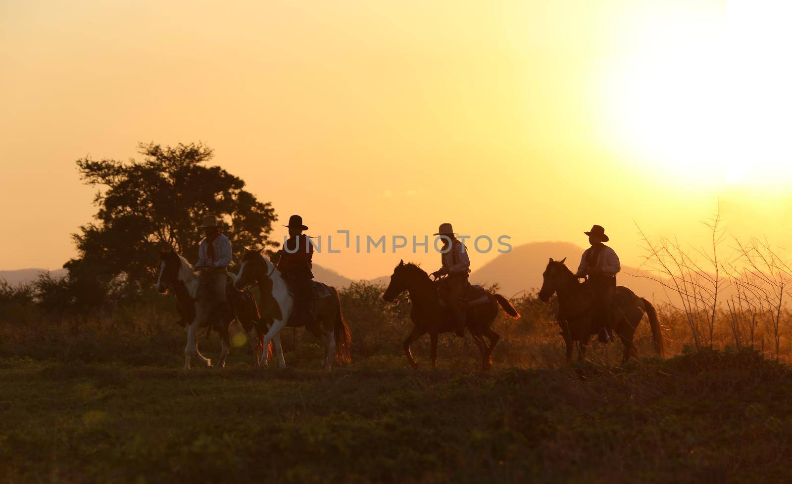 The silhouette of  rider as cowboy outfit costume with a horses and a gun held in the hand against smoke and sunset background