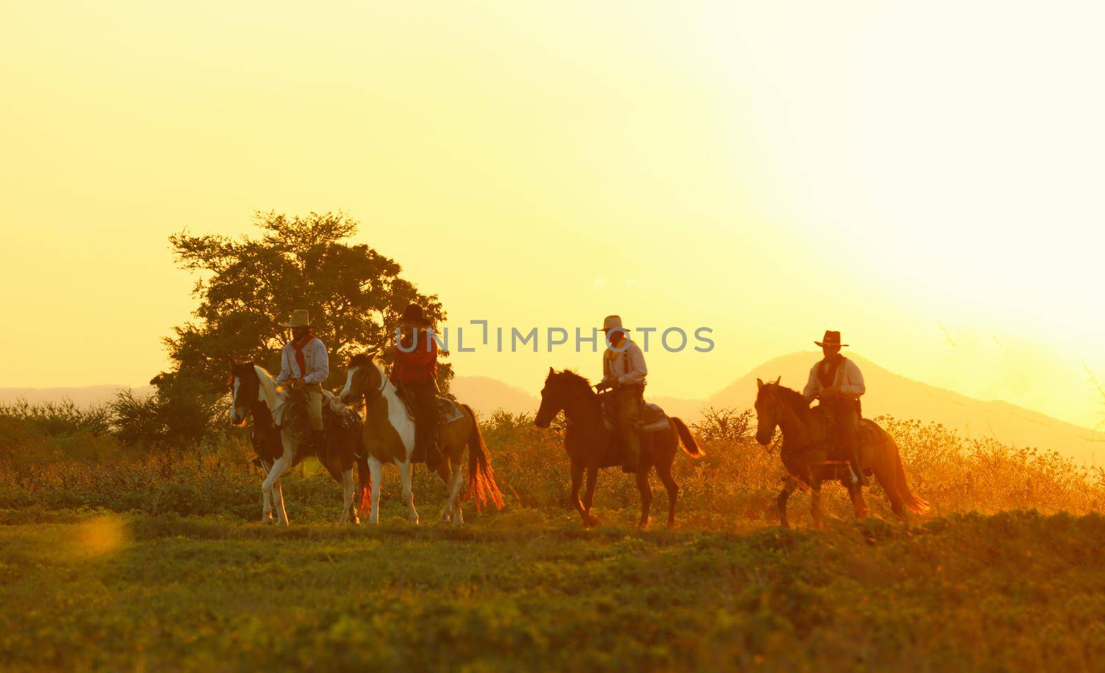 The silhouette of  rider as cowboy outfit costume with a horses and a gun held in the hand against smoke and sunset background