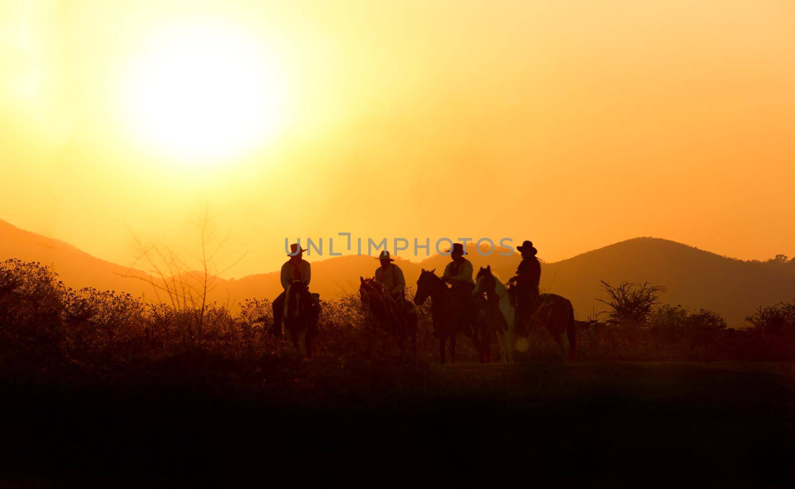 The silhouette of  rider as cowboy outfit costume with a horses and a gun held in the hand against smoke and sunset background