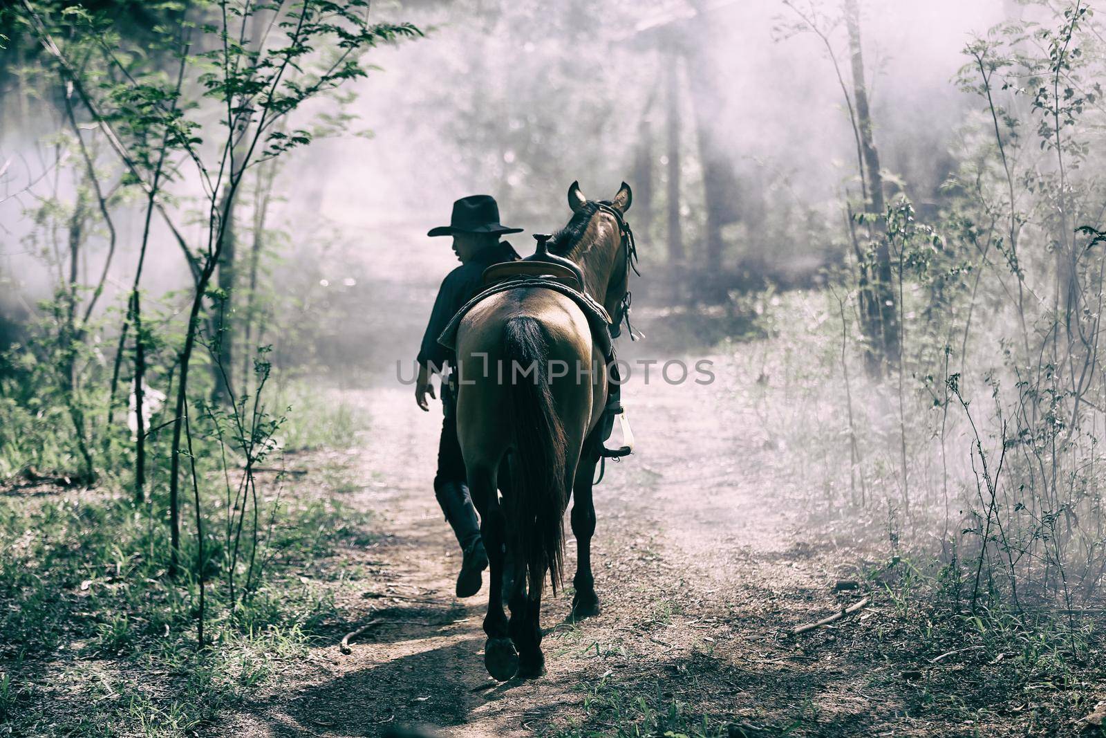 The silhouette of  rider as cowboy outfit costume with a horses and a gun held in the hand against smoke and sunset background
