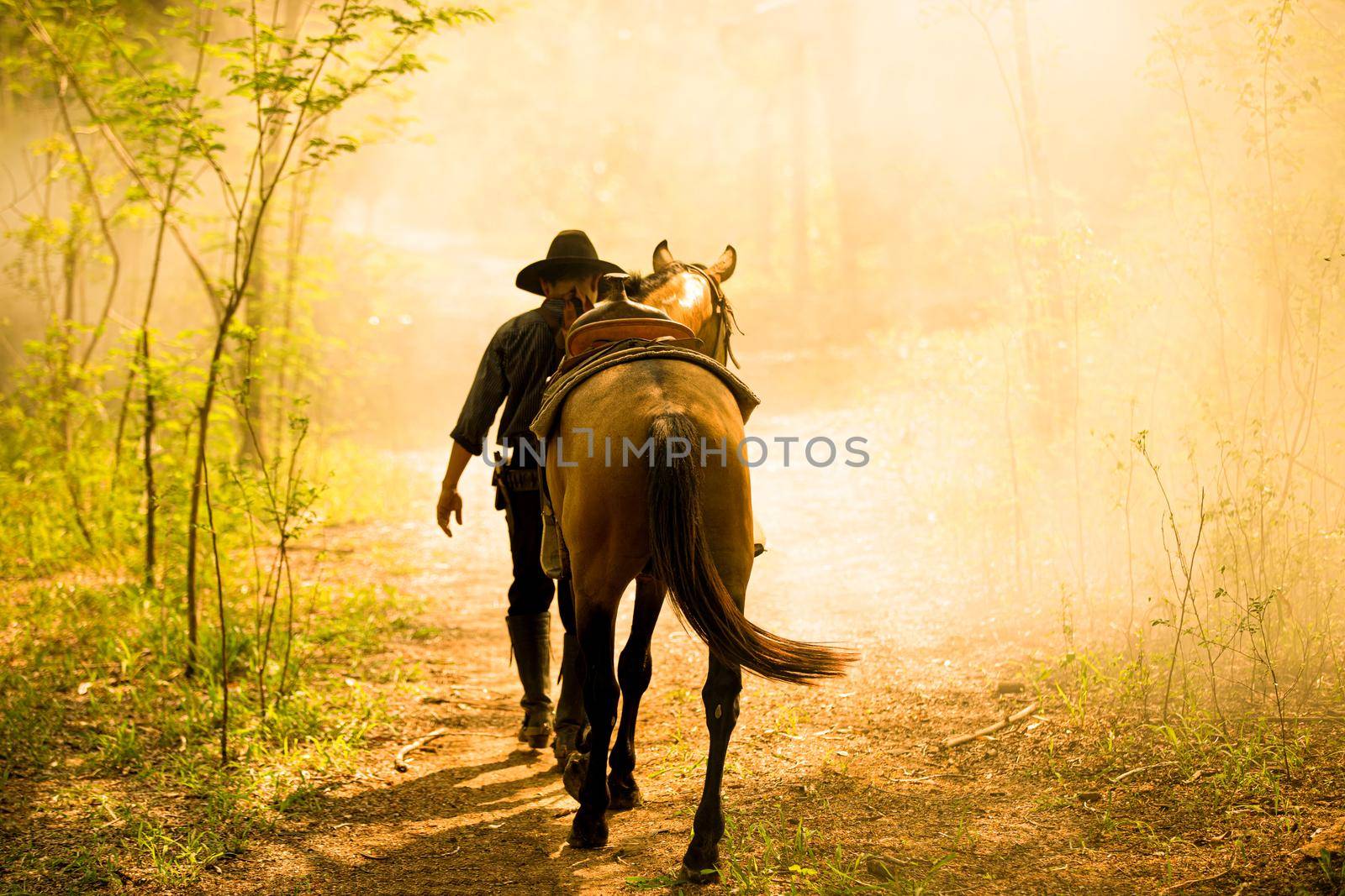 The silhouette of  rider as cowboy outfit costume with a horses and a gun held in the hand against smoke and sunset background