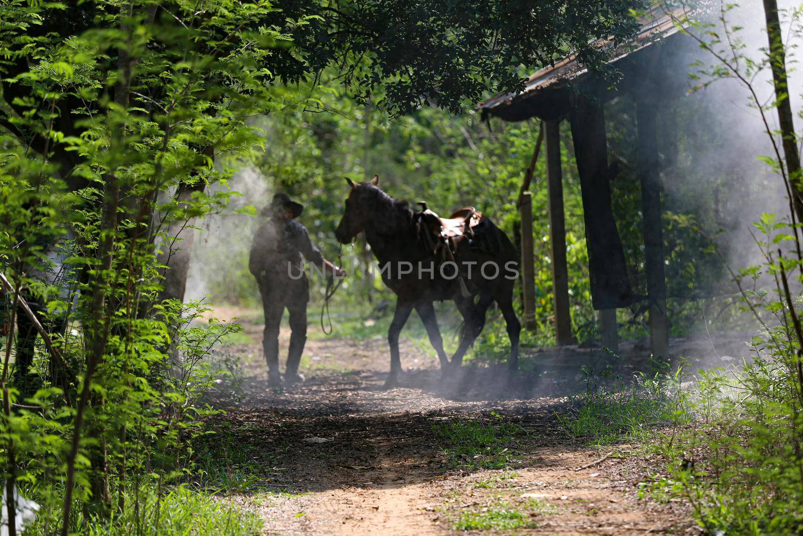 The silhouette of  rider as cowboy outfit costume with a horses and a gun held in the hand against smoke and sunset background