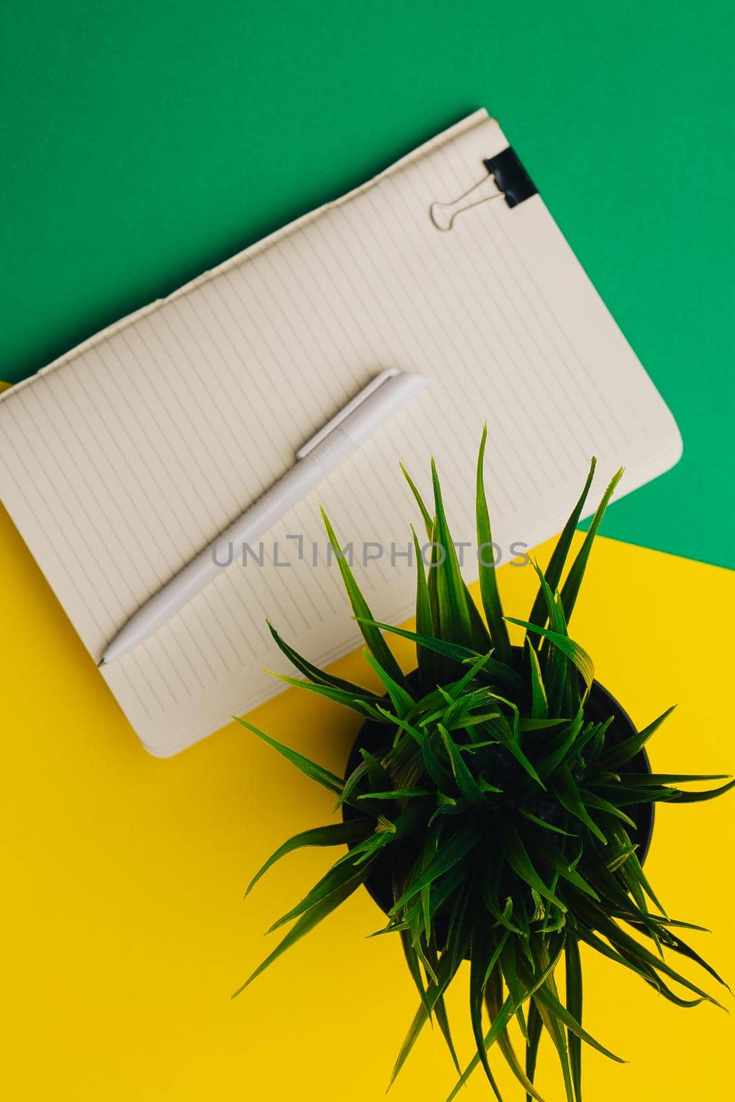 notepad coffee cup office flower pot and ballpoint pen top view. High quality photo