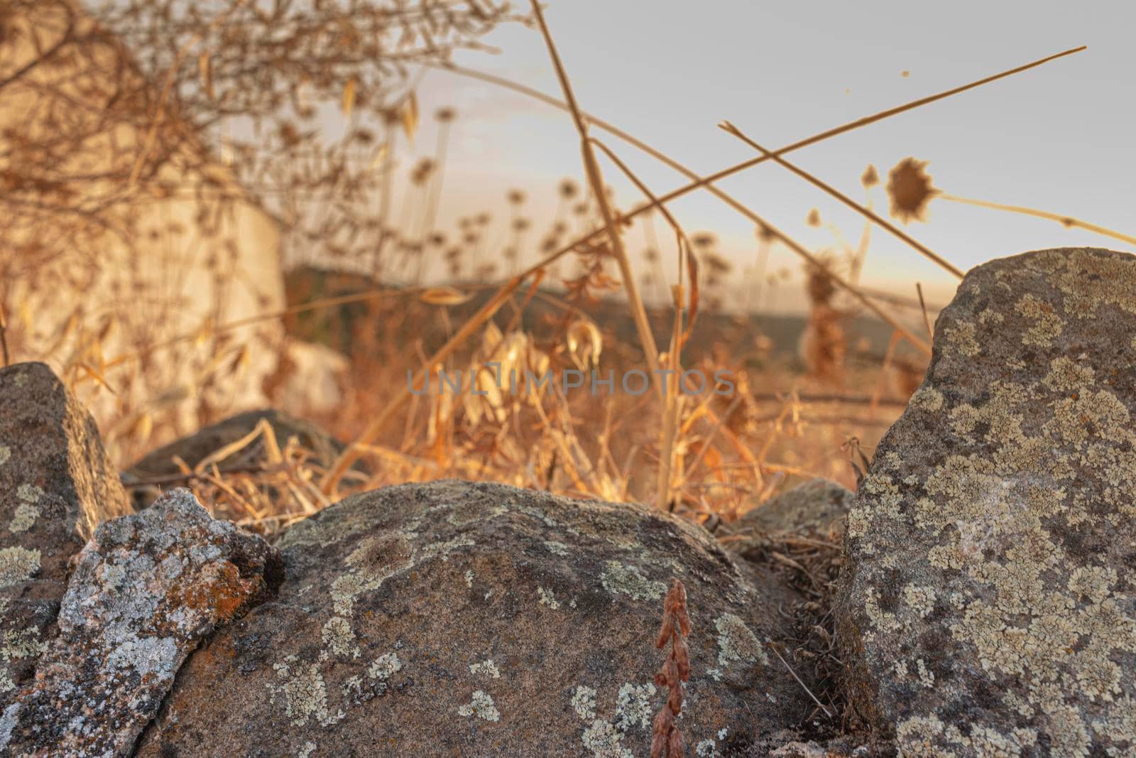 Stones on dry and arid terrain, in Andalusia in southern Spain