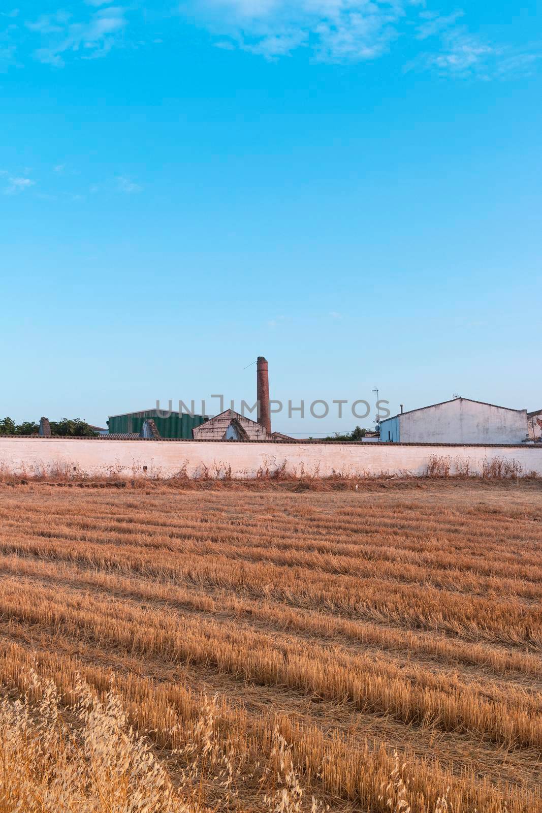 Freshly picked dry cereal field with factory by loopneo