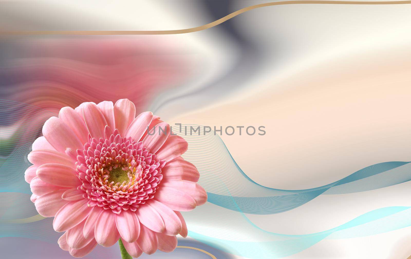 Beautiful pink flower on pastel abstract background. spring summer gerbera flower frame. Mock up. newsletter, brochure, postcard, ticket, advertisement, banner. Card for Women's Day. Place for text