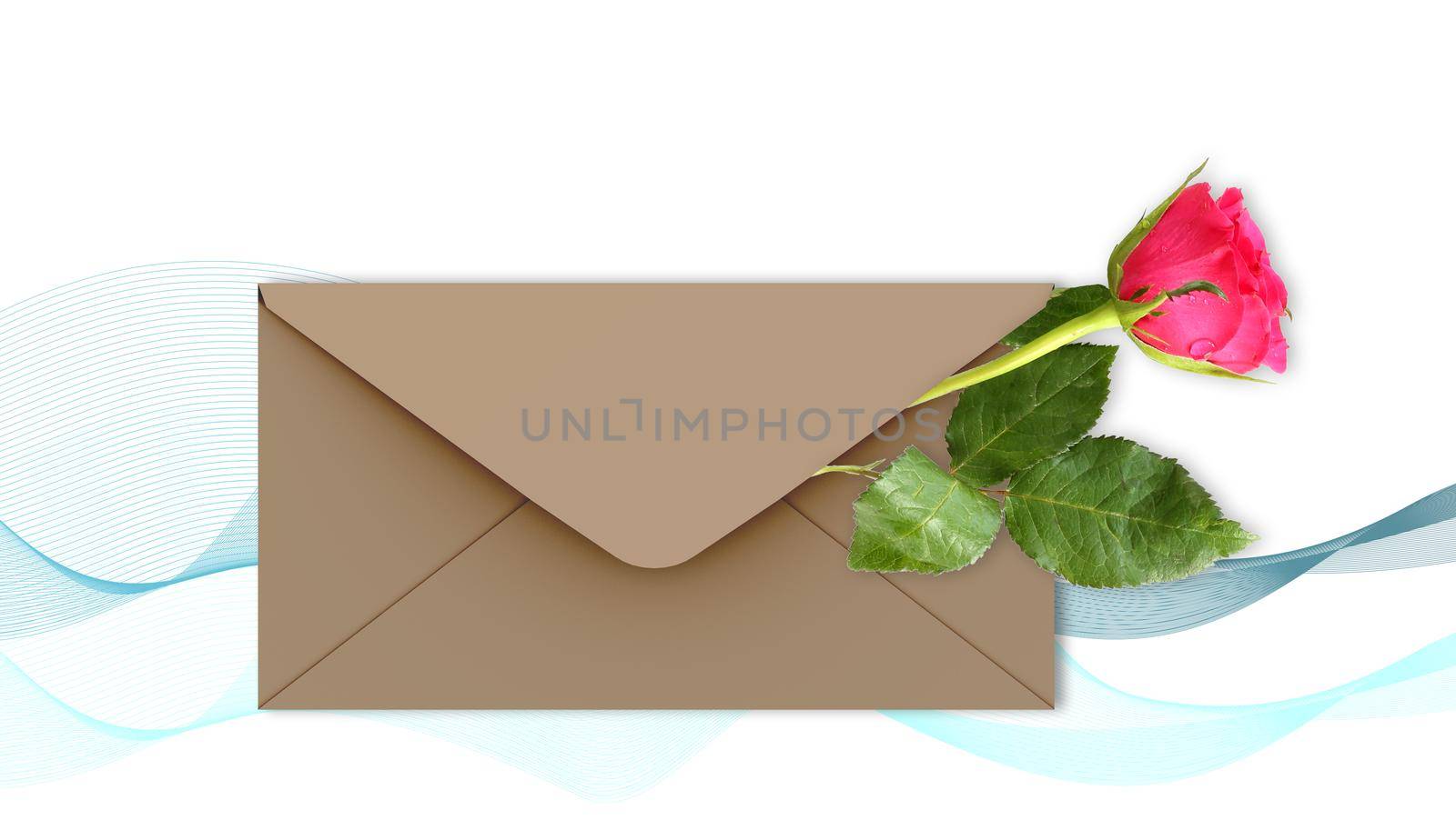 Single Red rose flower on white background with abstract waves, envelop for mock up. Flowers for holiday cards, mother's day, 8 March, birthday, wedding, Valentine's Day. Top view, flat lay