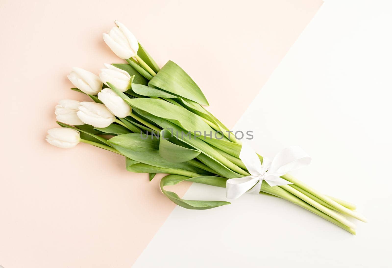 Spring flowers. Minimal. Top view of white tulips on double colored white and beige background