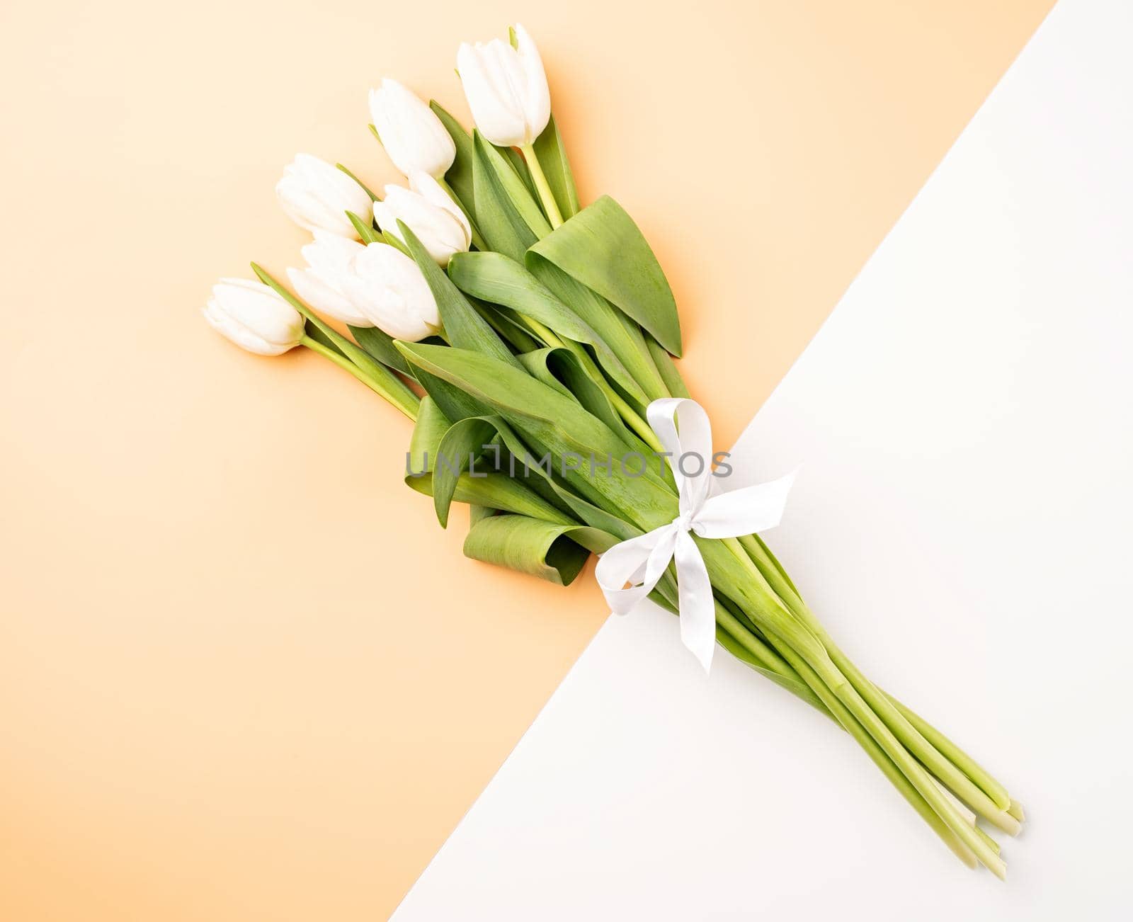 Spring flowers. Minimal. Top view of white tulips on double colored white and beige background