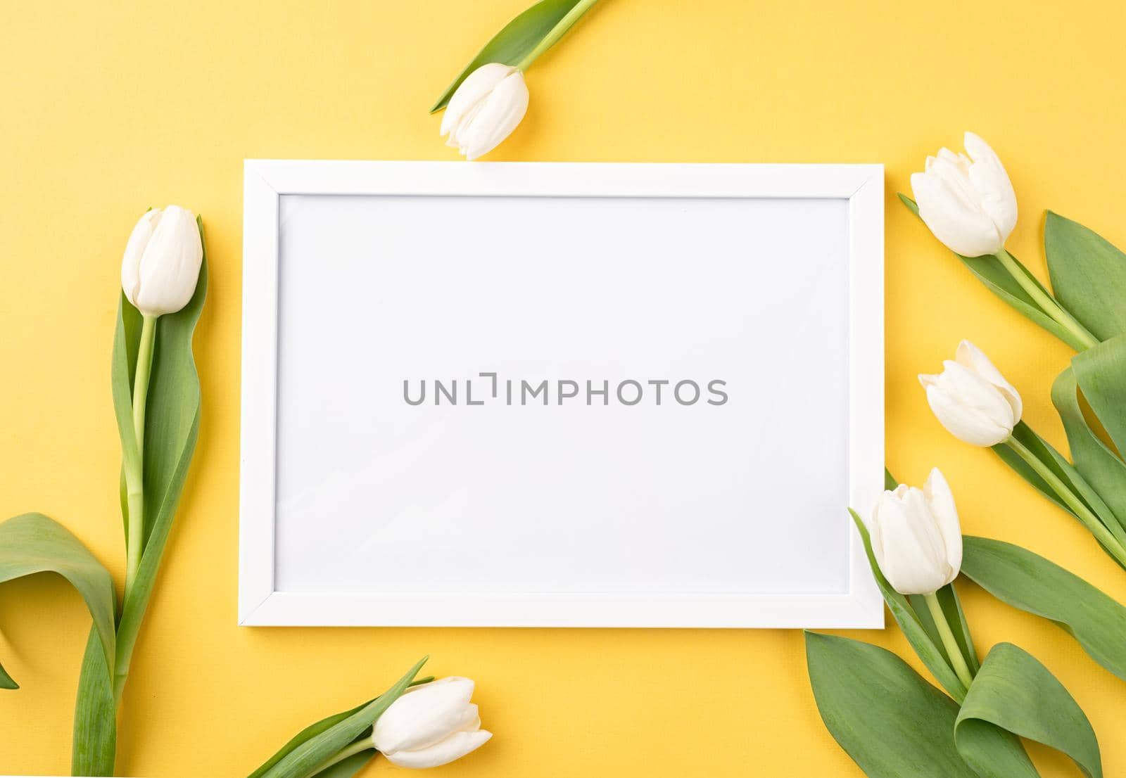 Spring concept. Top view of beautiful white tulips on yellow background with a blank frame. Mock up design