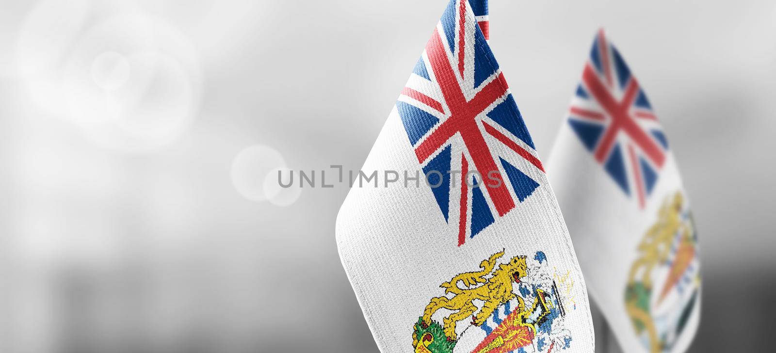 Patch of the national flag of the British Antarctic Territory on a white t-shirt.