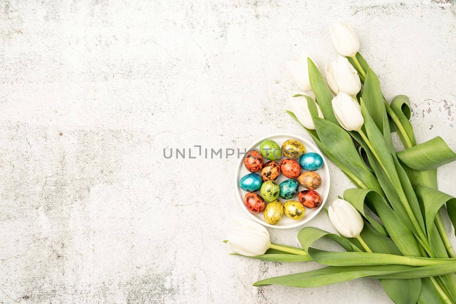 Easter and spring concept. Top view of white tulips and colored easter eggs on concrete backgrund with copy space