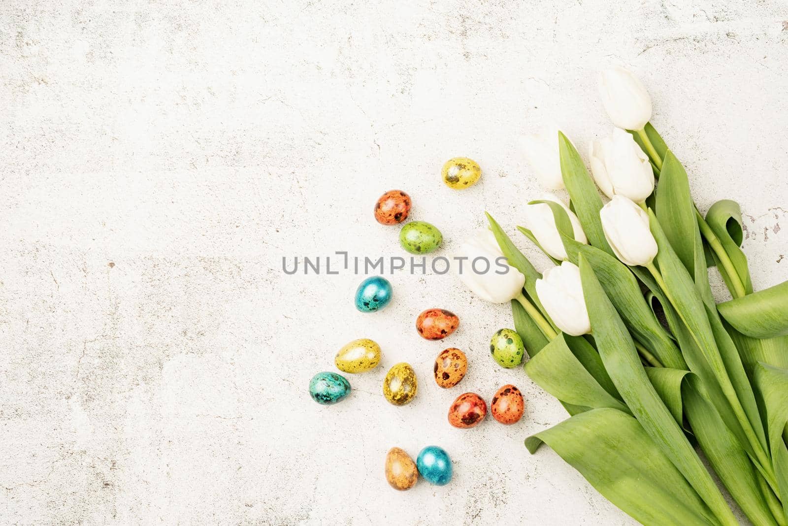 Top view of white tulips and colored easter eggs on concrete backgrund with copy space by Desperada