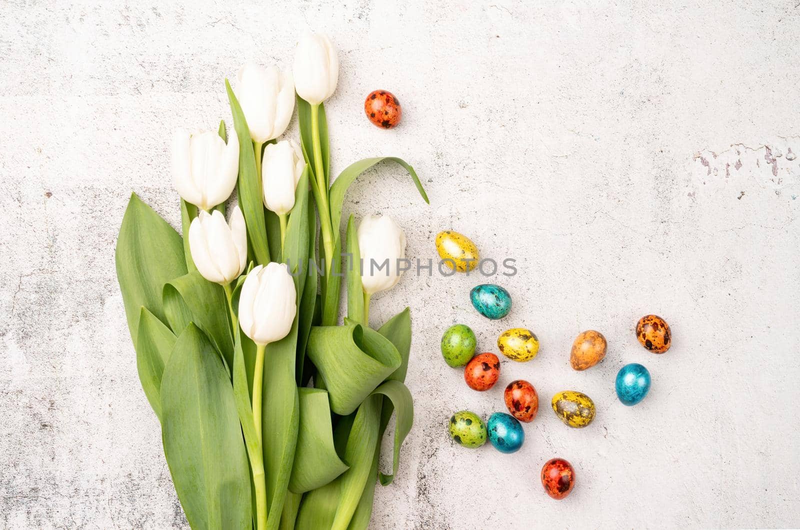 Top view of white tulips and colored easter eggs on concrete backgrund with copy space by Desperada