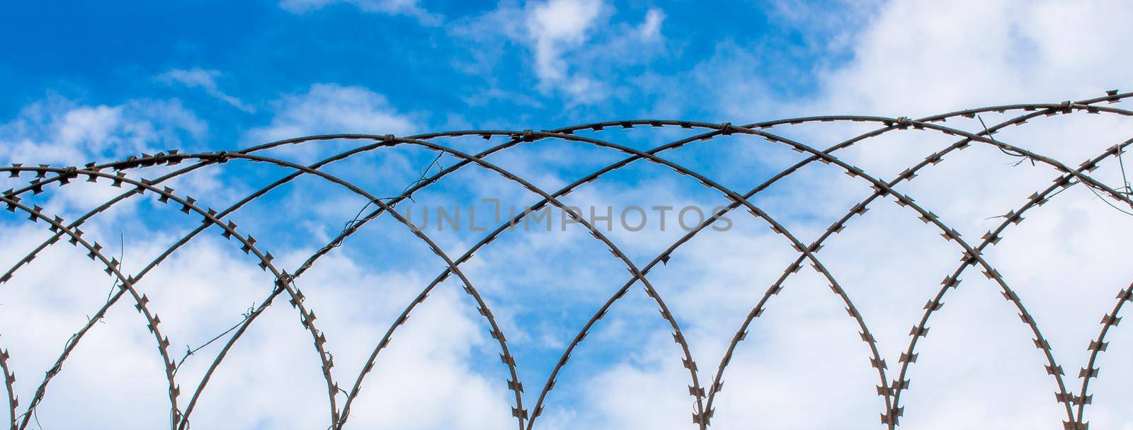 barbed wire fence  in a field