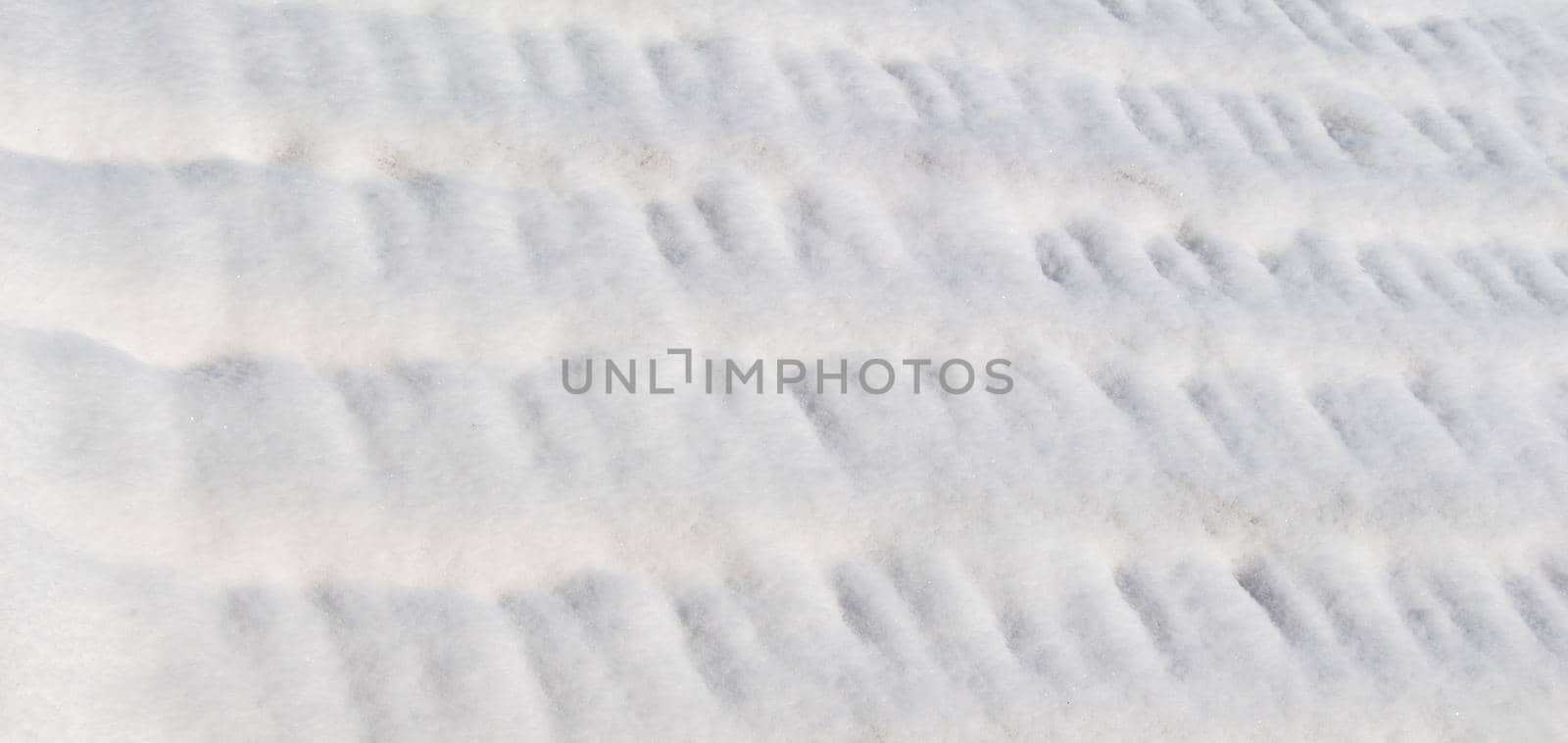  Snow winter background in white color by berkay