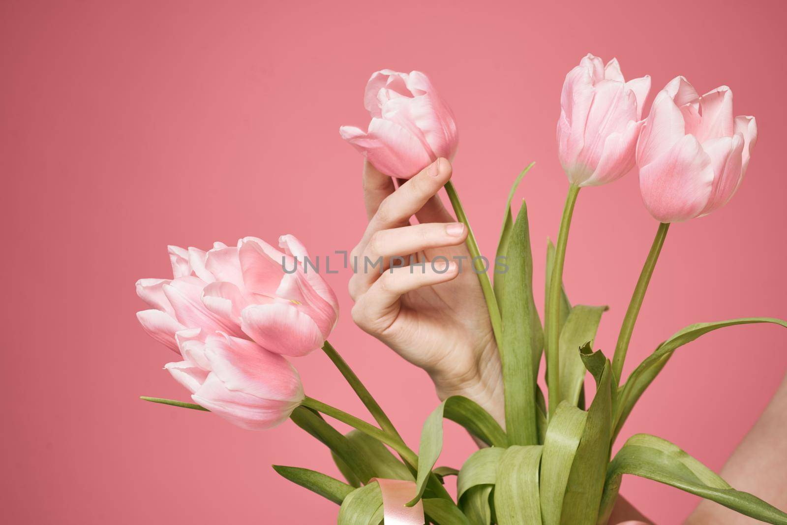 Bouquet of flowers pink background holiday gift. High quality photo