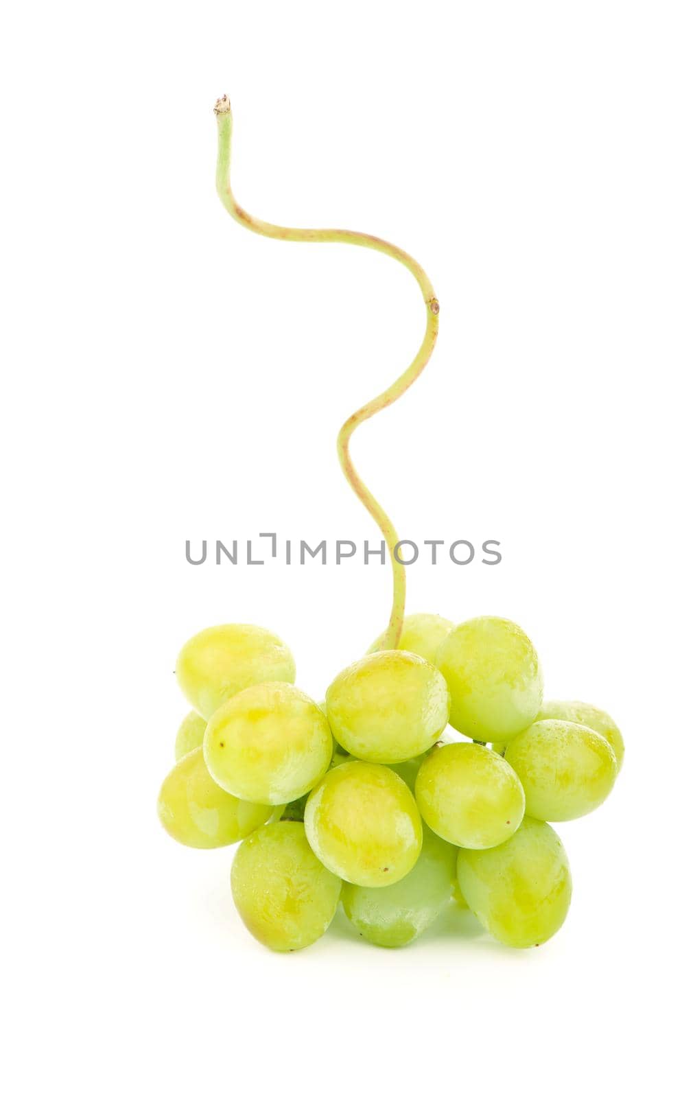 Green grape with leaves isolated on white. With clipping path. Full depth of field. by aprilphoto