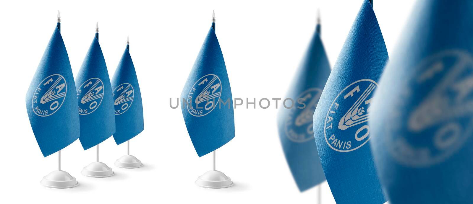 Set of Food and agriculture organization national flags on a white background.