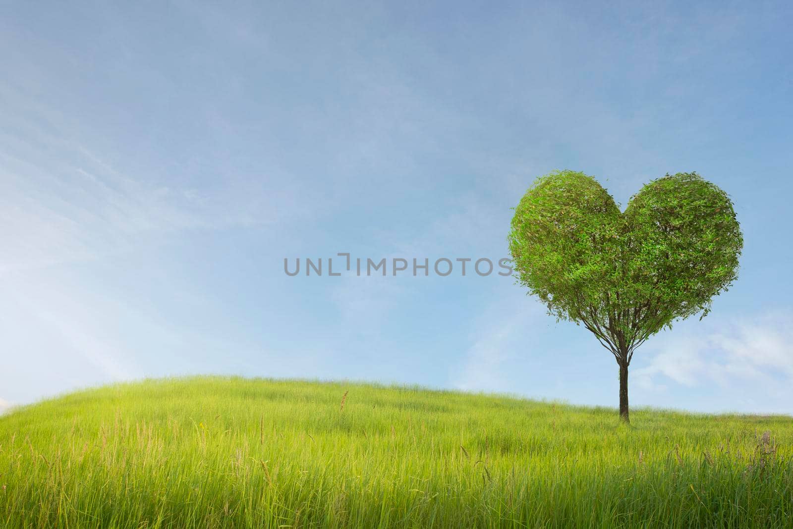 Green field with heart shape tree under blue sky. Beauty nature,for good environment. by thanumporn