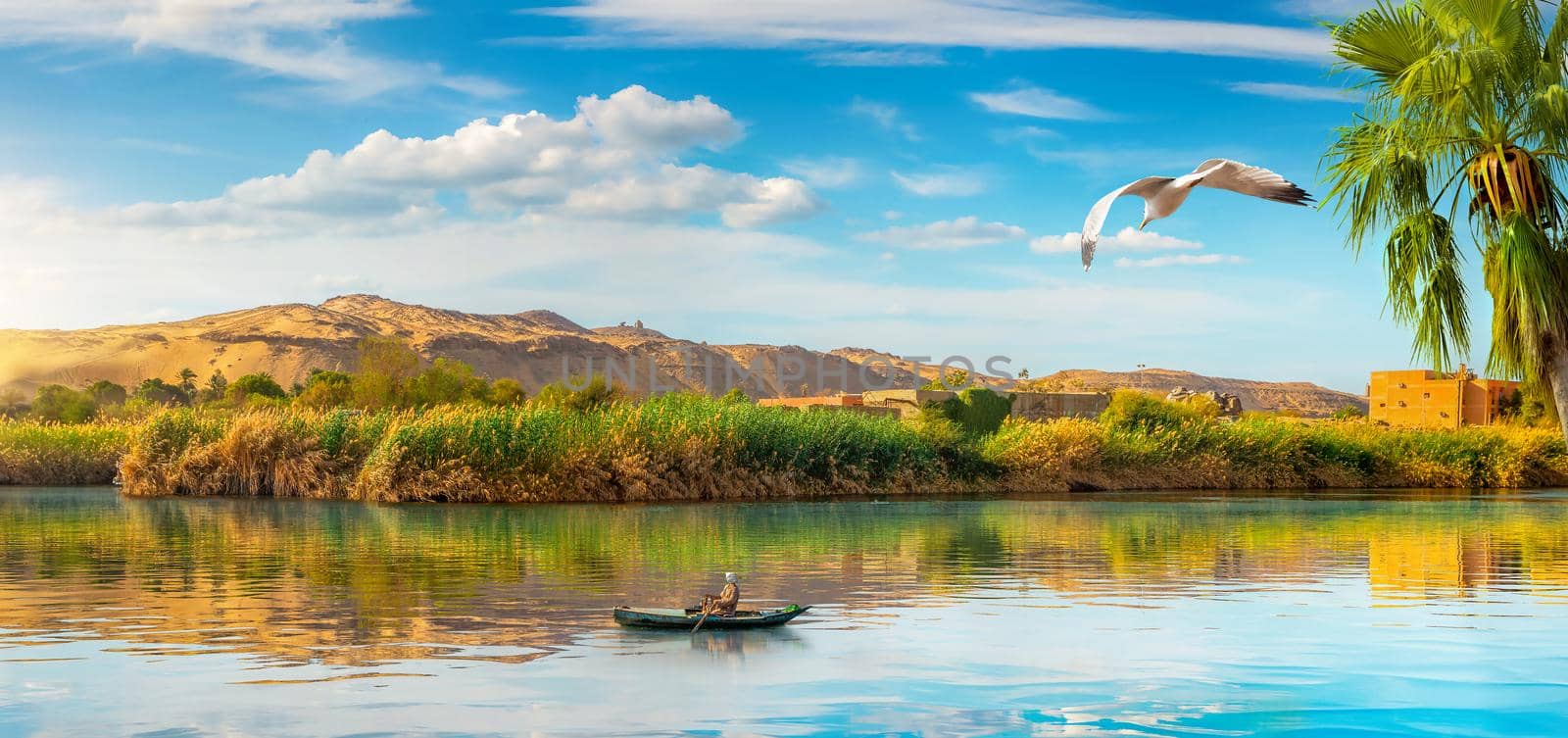 View of the Great Nile in Aswan