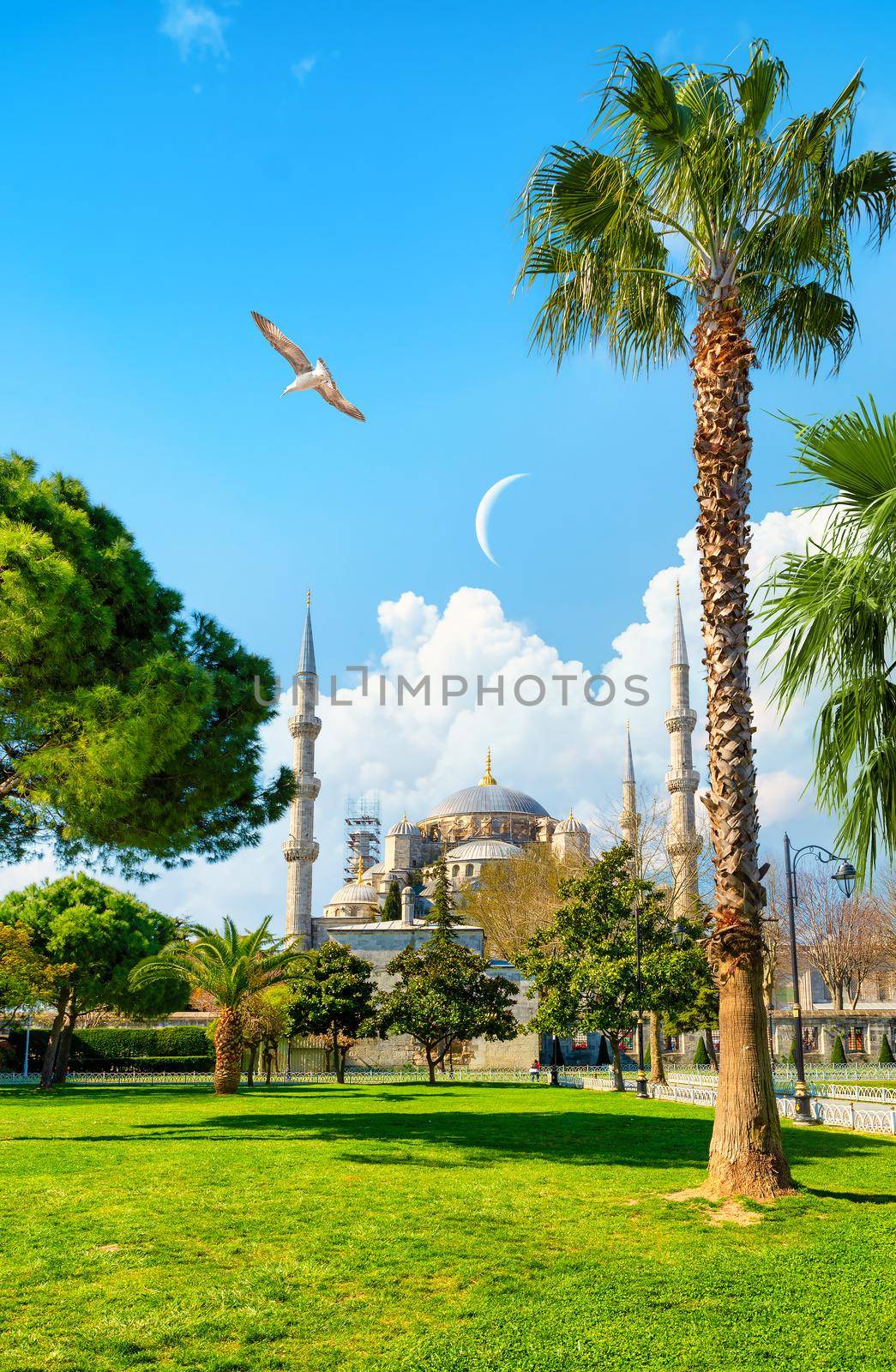 Seagulls over Blue Mosque in Istanbul, Turkey